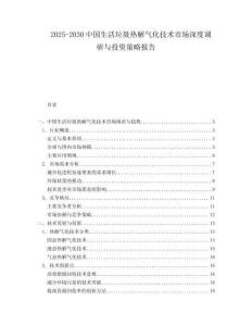 2025-2030中國(guó)生活垃圾熱解氣化技術(shù)市場(chǎng)深度調(diào)研與投資策略報(bào)告