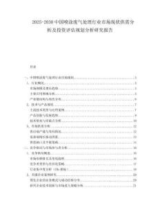 2025-2030中國(guó)噴涂廢氣處理行業(yè)市場(chǎng)現(xiàn)狀供需分析及投資評(píng)估規(guī)劃分析研究報(bào)告