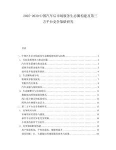 2025-2030中國汽車后市場服務生態圈構建及第三方平臺競爭策略研究