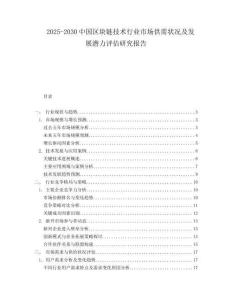 2025-2030中國區(qū)塊鏈技術(shù)行業(yè)市場供需狀況及發(fā)展?jié)摿υu(píng)估研究報(bào)告