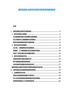 醫(yī)藥流通企業(yè)數字化轉型與智慧物流建設報告