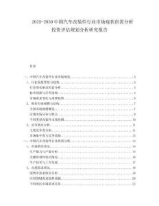2025-2030中國汽車改裝件行業市場現狀供需分析投資評估規劃分析研究報告