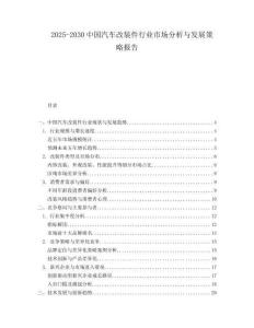 2025-2030中國汽車改裝件行業市場分析與發展策略報告