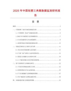 2025年中國軟塑三角章數據監測研究報告