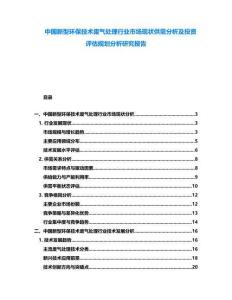 中國新型環保技術廢氣處理行業市場現狀供需分析及投資評估規劃分析研究報告