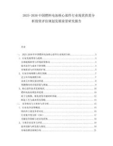 2025-2030中國(guó)燃料電池核心部件行業(yè)現(xiàn)狀供需分析投資評(píng)估規(guī)劃發(fā)展前景研究報(bào)告