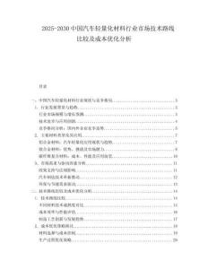 2025-2030中國汽車輕量化材料行業(yè)市場技術(shù)路線比較及成本優(yōu)化分析