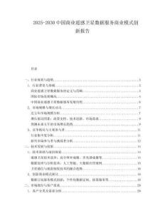 2025-2030中國商業(yè)遙感衛(wèi)星數(shù)據(jù)服務(wù)商業(yè)模式創(chuàng)新報(bào)告