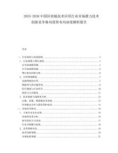 2025-2030中國區塊鏈技術應用行業市場潛力技術創新競爭格局投資布局深度解析報告