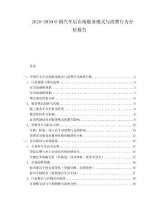 2025-2030中國汽車后市場服務模式與消費行為分析報告