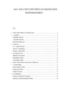 2025-2030中國(guó)汽車整車銷售行業(yè)市場(chǎng)供需分析投資前景規(guī)劃詳細(xì)報(bào)告