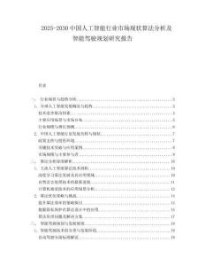 2025-2030中國人工智能行業(yè)市場現(xiàn)狀算法分析及智能駕駛規(guī)劃研究報告
