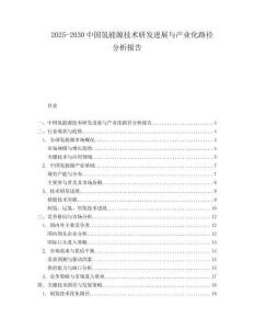 2025-2030中國氫能源技術(shù)研發(fā)進(jìn)展與產(chǎn)業(yè)化路徑分析報告