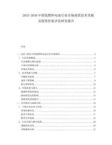 2025-2030中國氫燃料電池行業(yè)市場現(xiàn)狀技術(shù)突破及投資價值評估研究報告