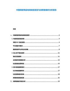 中國母嬰用品電商渠道演變與消費(fèi)者偏好分析報(bào)告