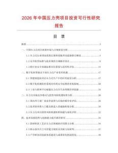 2026年中國(guó)壓力殼項(xiàng)目投資可行性研究報(bào)告
