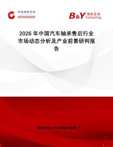2026年中國(guó)汽車軸承售后行業(yè)市場(chǎng)動(dòng)態(tài)分析及產(chǎn)業(yè)前景研判報(bào)告
