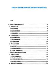 中國無人駕駛技術(shù)發(fā)展現(xiàn)狀及商業(yè)化路徑分析研究報告