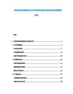 呼和浩特皮革制品行業(yè)市場競爭格局分析及相關(guān)發(fā)展規(guī)劃報告