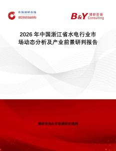2026年中國(guó)浙江省水電行業(yè)市場(chǎng)動(dòng)態(tài)分析及產(chǎn)業(yè)前景研判報(bào)告
