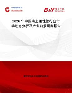 2026年中國海上柔性管行業市場動態分析及產業前景研判報告