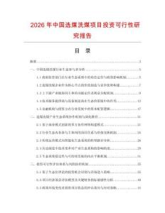 2026年中國選煤洗煤項(xiàng)目投資可行性研究報(bào)告