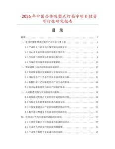 2026年中國凸體吸塑式燈箱字項目投資可行性研究報告