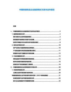 中國(guó)鐵路物流企業(yè)融資模式與資本運(yùn)作報(bào)告