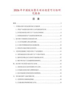 2026年中國膠木墊片項目投資可行性研究報告