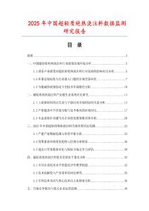2025年中國超輕質絕熱澆注料數據監測研究報告