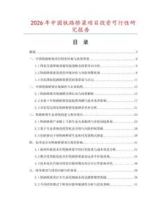 2026年中國鐵路橋梁項目投資可行性研究報告