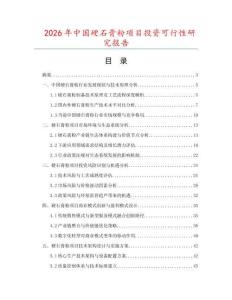2026年中國硬石膏粉項(xiàng)目投資可行性研究報(bào)告