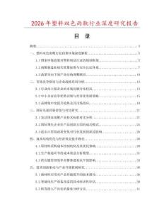 2026年塑料雙色雨靴行業(yè)深度研究報(bào)告