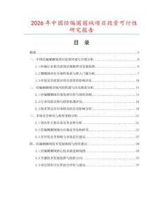 2026年中國經編圈圈絨項目投資可行性研究報告