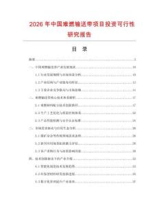 2026年中國難燃輸送帶項目投資可行性研究報告