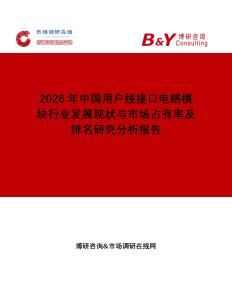 2026年中国用户线接口电路模块行业发展现状与市场占有率及排名研究分析报告