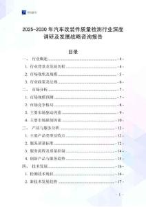 2025-2030年汽車改裝件質量檢測行業深度調研及發展戰略咨詢報告