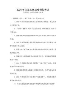 2026年国家发展战略模拟考试