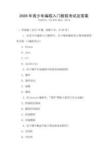 2026年青少年編程入門教程考試及答案