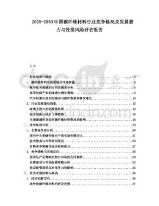 2025-2030中國碳纖維材料行業(yè)競爭格局及發(fā)展?jié)摿εc投資風(fēng)險(xiǎn)評(píng)估報(bào)告