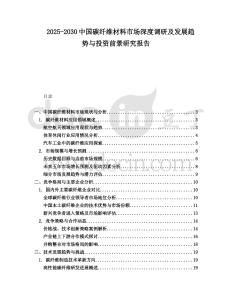 2025-2030中國碳纖維材料市場深度調研及發展趨勢與投資前景研究報告