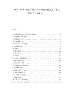 2025-2030中國碳纖維材料產(chǎn)業(yè)競爭格局及未來發(fā)展?jié)摿υu(píng)估報(bào)告