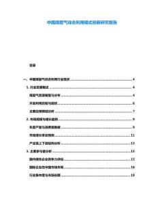 中國(guó)煤層氣綜合利用模式創(chuàng)新研究報(bào)告