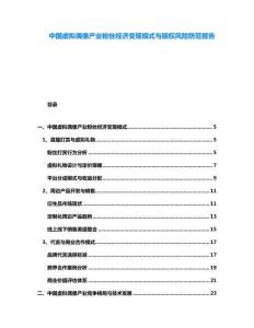 中國虛擬偶像產(chǎn)業(yè)粉絲經(jīng)濟變現(xiàn)模式與版權(quán)風(fēng)險防范報告