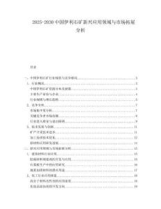 2025-2030中國(guó)伊利石礦新興應(yīng)用領(lǐng)域與市場(chǎng)拓展分析
