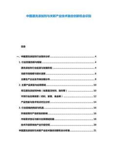 中國漂洗添加劑與關(guān)聯(lián)產(chǎn)業(yè)技術(shù)融合創(chuàng)新機(jī)會(huì)識別