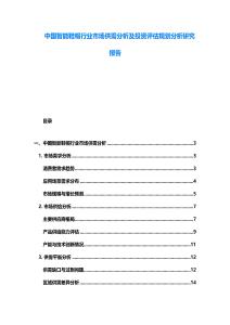 中國智能鞋帽行業市場供需分析及投資評估規劃分析研究報告