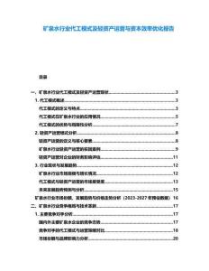 礦泉水行業(yè)代工模式及輕資產(chǎn)運(yùn)營(yíng)與資本效率優(yōu)化報(bào)告