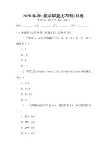 2025年初中數學解題技巧精講試卷