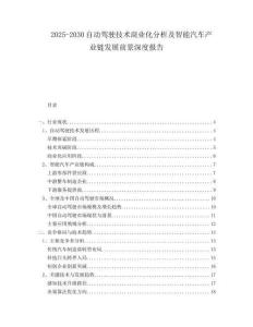 2025-2030自動駕駛技術商業化分析及智能汽車產業鏈發展前景深度報告